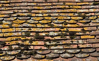 When is it best to install a new roof?