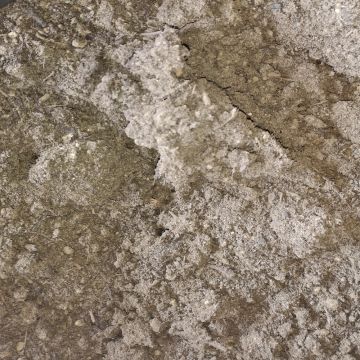 Premium Blended Organic Planting Loam: Bulk Bag - from About Roofing Supplies Limited