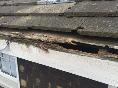 Rotted fascia